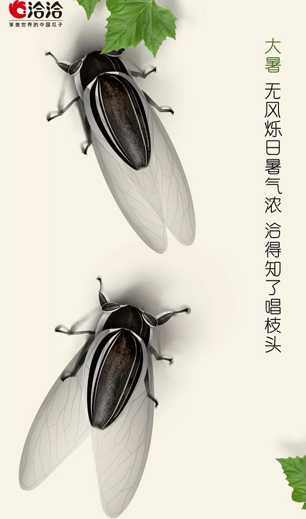 洽洽瓜子大暑借勢廣告
