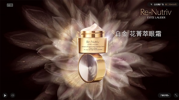視頻網(wǎng)站廣告