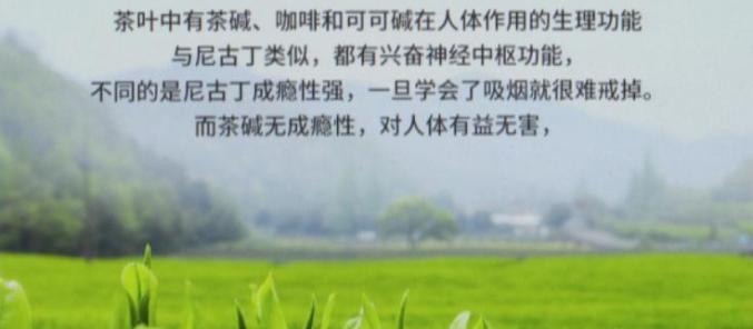茶煙廣告